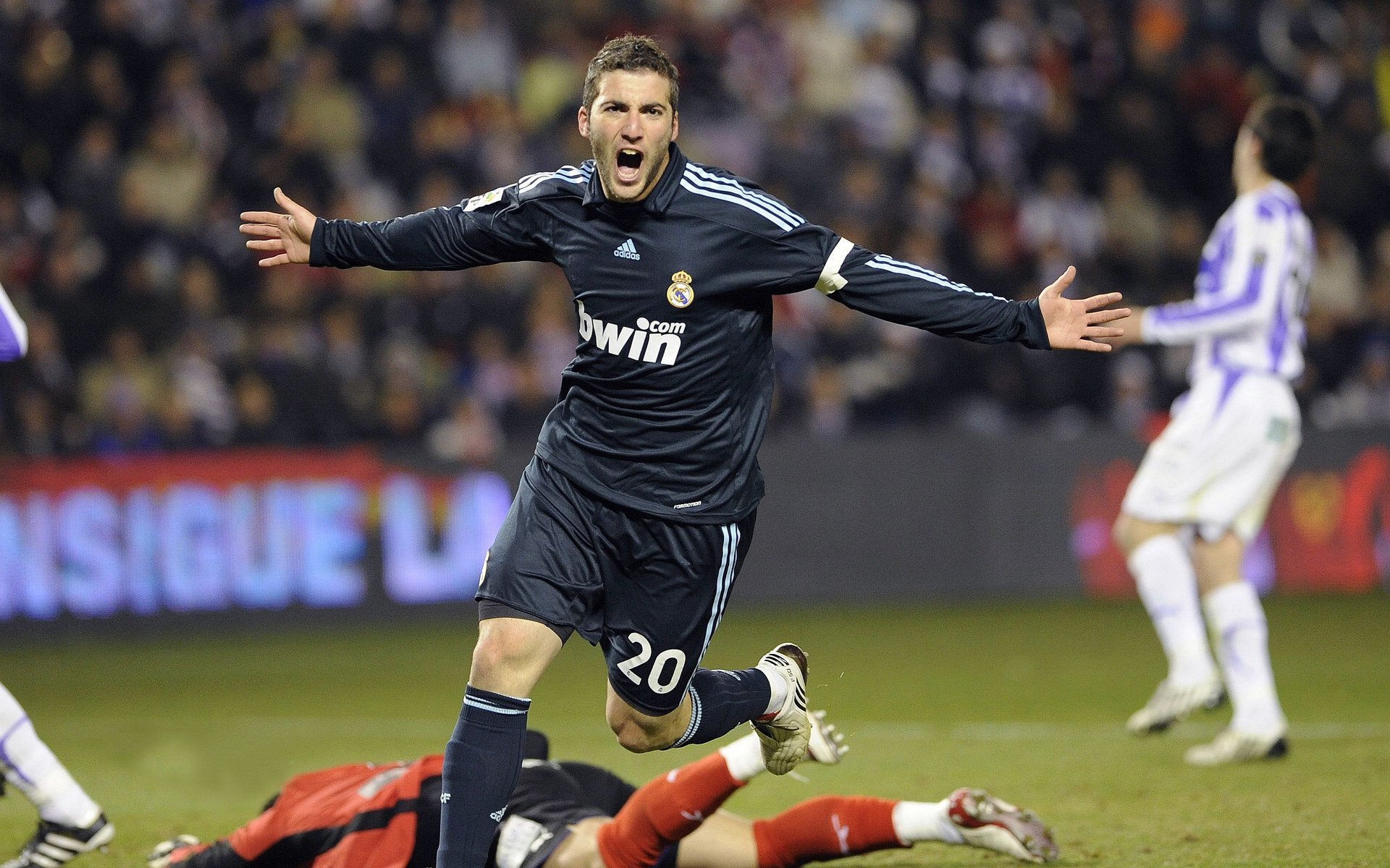 日本男泳队自由泳划频稳定，节奏控制佳，男子自由泳中国日本韩国