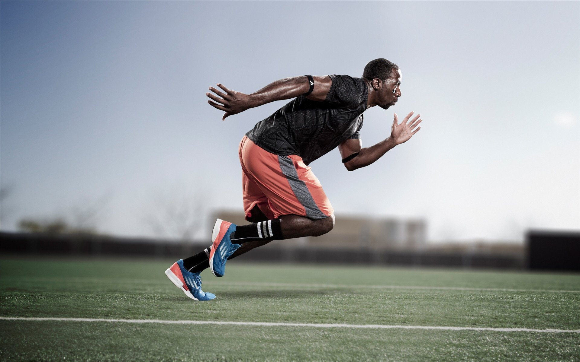 新型球场草坪启用，提升比赛质量，球场草坪养护